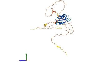 AlphaFold protein structure predicition of Human Recombinant DAZL Protein, UniprotID Q92904
