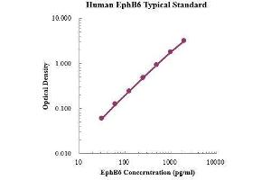 ELISA image for EPH Receptor B6 (EPHB6) ELISA Kit (ABIN3199216)