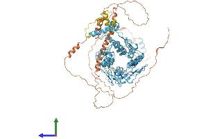 AlphaFold protein structure predicition of Human Recombinant ZNF41 Protein, UniprotID P51814