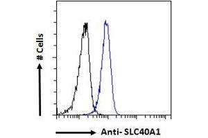 ABIN2613478 Flow cytometric analysis of paraformaldehyde fixed HeLa cells (blue line), permeabilized with 0.