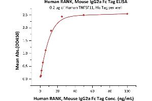 Immobilized Human TNFSF11, His Tag (ABIN5674645,ABIN6809989) at 2 μg/mL (100 μL/well) can bind Human RANK, Mouse IgG2a Fc Tag, low endotoxin (ABIN5954944,ABIN6253593) with a linear range of 0.