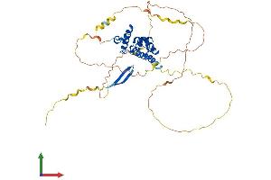 AlphaFold protein structure predicition of Human Recombinant ARID3C Protein, UniprotID A6NKF2