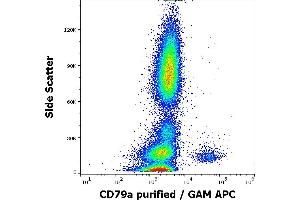Flow cytometry intracellular staining pattern of human peripheral whole blood stained using anti-human CD79a (HM47) purified antibody (concentration in sample 4 μg/mL, GAM APC). (CD79a anticorps  (AA 208-222))