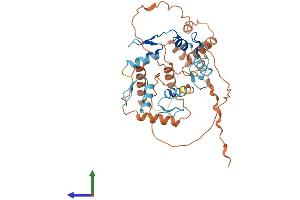 AlphaFold protein structure predicition of Human Recombinant ZNF200 Protein, UniprotID P98182
