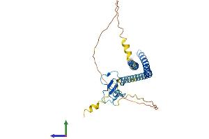 AlphaFold protein structure predicition of Mouse Recombinant Ing2 Protein, UniprotID Q9ESK4