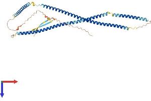 AlphaFold protein structure predicition of Human Recombinant KRT23 Protein, UniprotID Q9C075