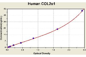Diagramm of the ELISA kit to detect Human COL2alpha 1with the optical density on the x-axis and the concentration on the y-axis. (COL2A1 Kit ELISA)