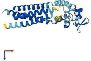 AlphaFold protein structure predicition of Mouse Recombinant Tspan8 Protein, UniprotID Q8R3G9