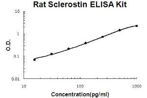 Rat Sclerostin/SOST PicoKine ELISA Kit standard curve (Sclerostin Kit ELISA)