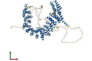 AlphaFold protein structure predicition of Human Recombinant PPP4R4 Protein, UniprotID Q6NUP7