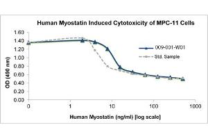 SDS-PAGE of Human Myostatin Recombinant Protein Bioactivity of Human Myostatin Recombinant Protein. (MSTN Protéine)