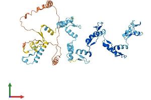 AlphaFold protein structure predicition of Human Recombinant ZNF141 Protein, UniprotID Q15928