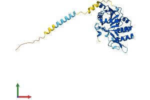 AlphaFold protein structure predicition of Human Recombinant EXTL2 Protein, UniprotID Q9UBQ6