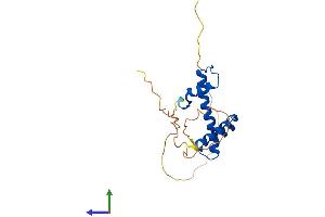 AlphaFold protein structure predicition of Human Recombinant NFYB Protein, UniprotID P25208