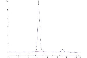The purity of Biotinylated Human IL-17R alpha is greater than 95 % as determined by SEC-HPLC.