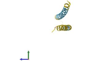AlphaFold protein structure predicition of Human Recombinant NNAT Protein, UniprotID Q16517