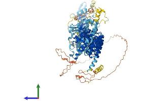 AlphaFold protein structure predicition of Human Recombinant ANKMY1 Protein, UniprotID Q9P2S6