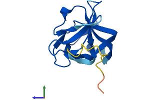 AlphaFold protein structure predicition of Human Recombinant RABIF Protein, UniprotID P47224