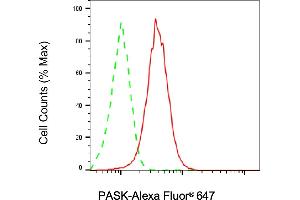 Flow cytometric analysis of PASK expression in HAP-1 cells using PASK antibody (ABIN7799741), 1:2,000). (PASK anticorps)