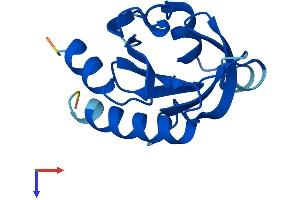 AlphaFold protein structure predicition of Mouse Recombinant Pfn3 Protein, UniprotID Q9DAD6