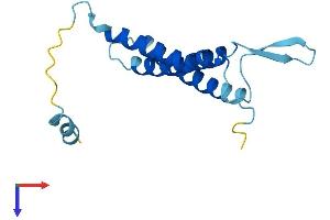AlphaFold protein structure predicition of Mouse Recombinant Ostc Protein, UniprotID Q78XF5