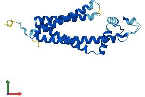 AlphaFold protein structure predicition of Mouse Recombinant Tspan13 Protein, UniprotID Q9D8C2