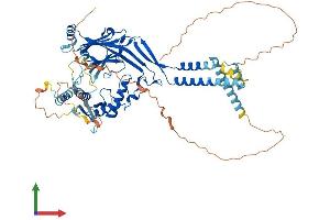 AlphaFold protein structure predicition of Human Recombinant SCNN1A Protein, UniprotID P37088