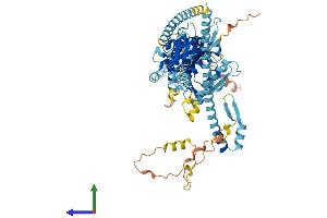 AlphaFold protein structure predicition of Mouse Recombinant Kif3a Protein, UniprotID P28741