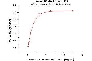 Immobilized Human BCMA, Fc Tag (ABIN2180645,ABIN2180644) at 2 μg/mL (100 μL/well) can bind A BCMA Mab with a linear range of 0.