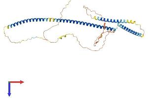 AlphaFold protein structure predicition of Human Recombinant AZI2 Protein, UniprotID Q9H6S1
