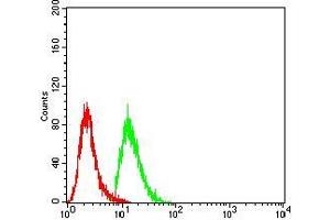 Flow cytometric analysis of A549 cells using WTAP mouse mAb (green) and negative control (red).