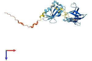 AlphaFold protein structure predicition of Human Recombinant DAPP1 Protein, UniprotID Q9UN19