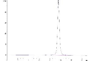 The purity of Human FGL1 is greater than 95 % as determined by SEC-HPLC.