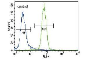 Flow Cytometry (FACS) image for anti-Runt-Related Transcription Factor 2 (RUNX2) antibody (ABIN3003461) (RUNX2 anticorps)