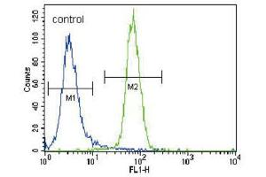 Flow Cytometry (FACS) image for anti-Runt-Related Transcription Factor 2 (RUNX2) antibody (ABIN3003461)