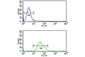 FOXG1 antibody flow cytometric analysis of U251 cells (green) compared to a negative control (blue).