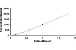 Interleukin 12 alpha (IL12A) ELISA Kit