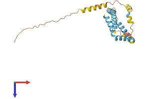 AlphaFold protein structure predicition of Human Recombinant FUNDC2 Protein, UniprotID Q9BWH2