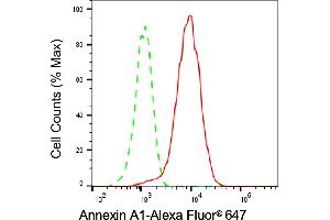 Flow cytometric analysis of Annexin A1 expression in HepG2 cells using Annexin A1 antibody (ABIN7797614), 1:2,000). (Recombinant Annexin a1 anticorps)