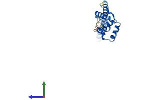 AlphaFold protein structure predicition of Mouse Recombinant Ldoc1 Protein, UniprotID Q7TPY9