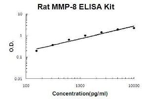 Rat MMP-8 PicoKine ELISA Kit standard curve (MMP8 Kit ELISA)