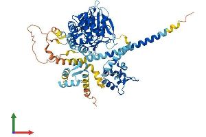 AlphaFold protein structure predicition of Human Recombinant PPEF1 Protein, UniprotID O14829