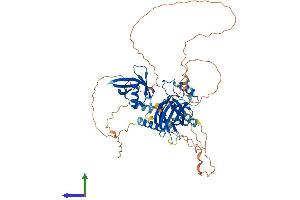 AlphaFold protein structure predicition of Mouse Recombinant Grhl3 Protein, UniprotID Q5FWH3