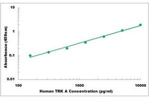 Representative Standard Curve (TRKA Kit ELISA)