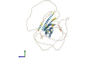 AlphaFold protein structure predicition of Mouse Recombinant Gpr156 Protein, UniprotID Q6PCP7