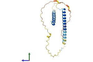 AlphaFold protein structure predicition of Mouse Recombinant Bap18 Protein, UniprotID Q9DCT6