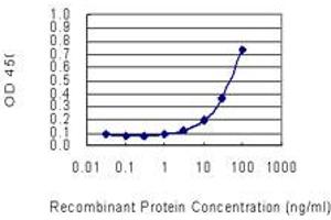 Detection limit for recombinant GST tagged SOCS2 is 1 ng/ml as a capture antibody. (SOCS2 anticorps  (AA 99-198))