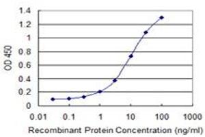 Detection limit for recombinant GST tagged GNL3 is 0. (Nucleostemin anticorps  (AA 328-427))