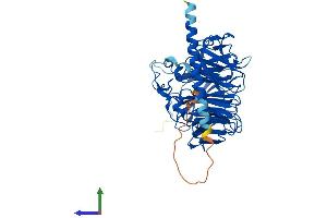 AlphaFold protein structure predicition of Human Recombinant CORO1C Protein, UniprotID Q9ULV4