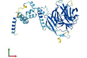AlphaFold protein structure predicition of Mouse Recombinant Fbxw2 Protein, UniprotID Q60584